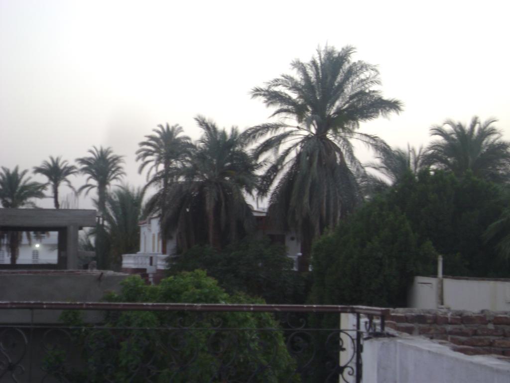 White Villa Luksor Dış mekan fotoğraf